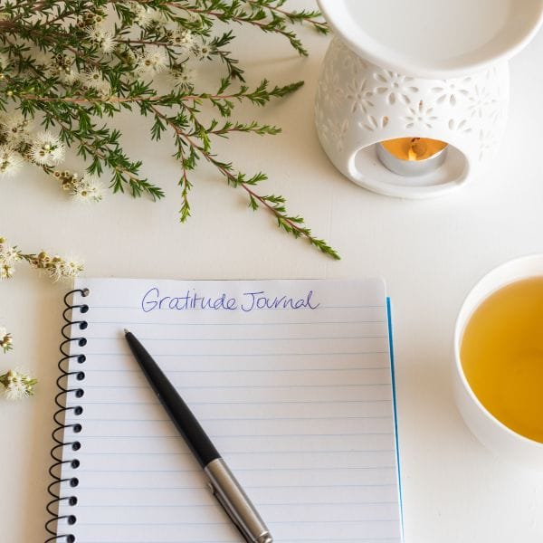 gratitude journal notebook