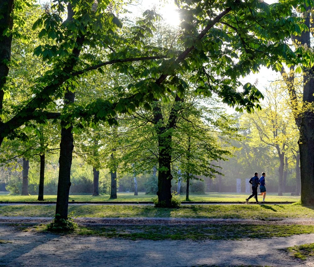 Taking a walk for emotional wellness